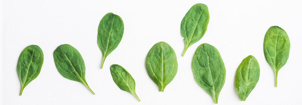 Immunity-Booster Foods Spinach